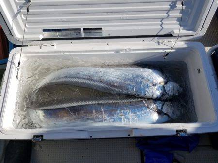 遊漁船　ニライカナイ 釣果