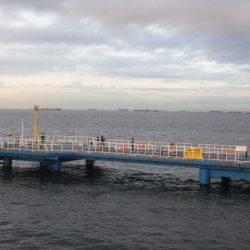 オリジナルメーカー海づり公園(市原市海づり施設) 釣果