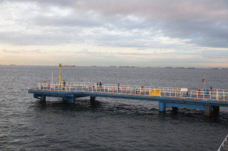 オリジナルメーカー海づり公園(市原市海づり施設) 釣果