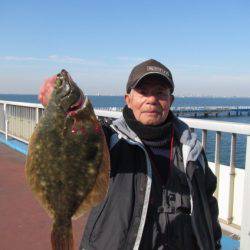 オリジナルメーカー海づり公園(市原市海づり施設) 釣果