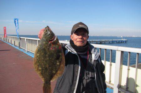 オリジナルメーカー海づり公園(市原市海づり施設) 釣果