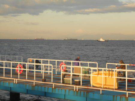 オリジナルメーカー海づり公園(市原市海づり施設) 釣果