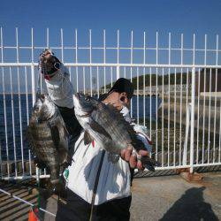 大阪南港海つり公園 釣果