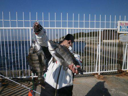 大阪南港海つり公園 釣果