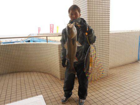 オリジナルメーカー海づり公園(市原市海づり施設) 釣果