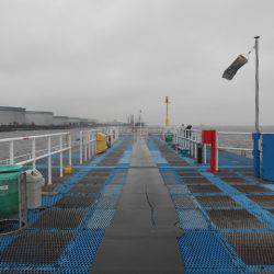 オリジナルメーカー海づり公園(市原市海づり施設) 釣果