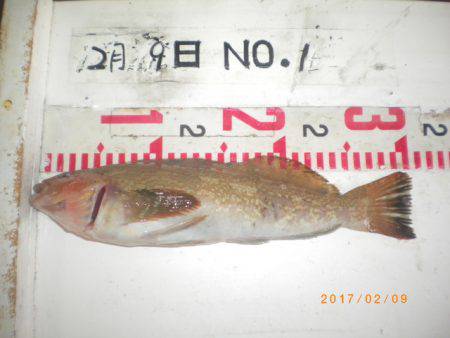 姫路市立遊魚センター 釣果