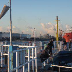 オリジナルメーカー海づり公園(市原市海づり施設) 釣果