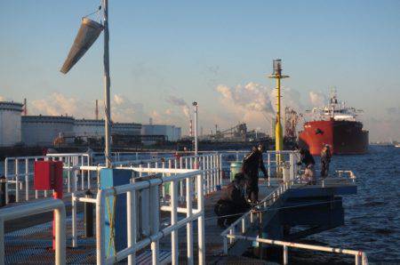 オリジナルメーカー海づり公園(市原市海づり施設) 釣果