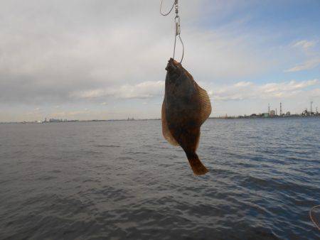 オリジナルメーカー海づり公園(市原市海づり施設) 釣果
