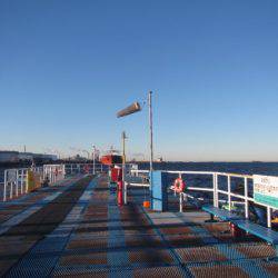 オリジナルメーカー海づり公園(市原市海づり施設) 釣果