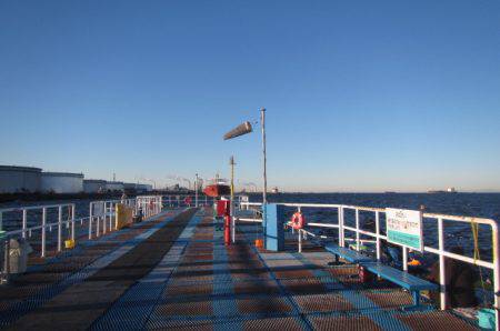 オリジナルメーカー海づり公園(市原市海づり施設) 釣果