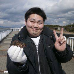 大阪南港海つり公園 釣果
