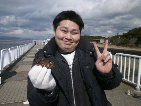 大阪南港海つり公園 釣果