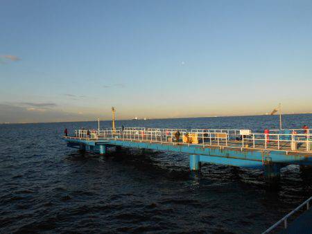 オリジナルメーカー海づり公園(市原市海づり施設) 釣果
