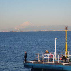 オリジナルメーカー海づり公園(市原市海づり施設) 釣果