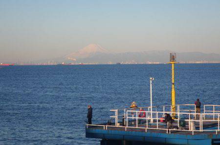 オリジナルメーカー海づり公園(市原市海づり施設) 釣果