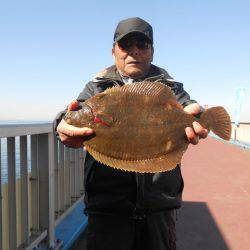 オリジナルメーカー海づり公園(市原市海づり施設) 釣果