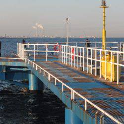 オリジナルメーカー海づり公園(市原市海づり施設) 釣果