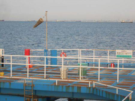 オリジナルメーカー海づり公園(市原市海づり施設) 釣果