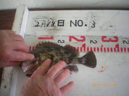 姫路市立遊魚センター 釣果