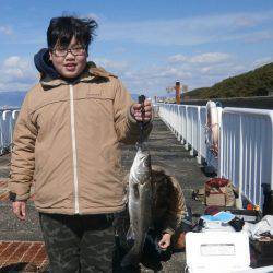 大阪南港海つり公園 釣果