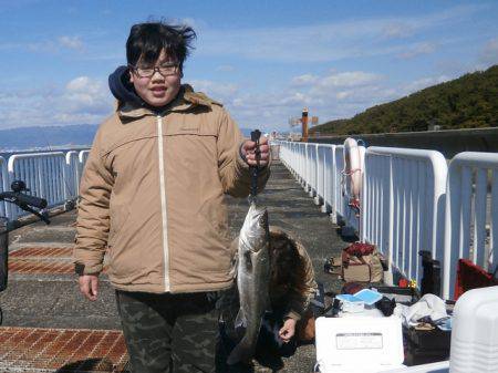 大阪南港海つり公園 釣果