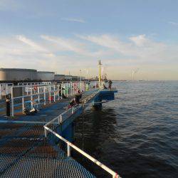 オリジナルメーカー海づり公園(市原市海づり施設) 釣果