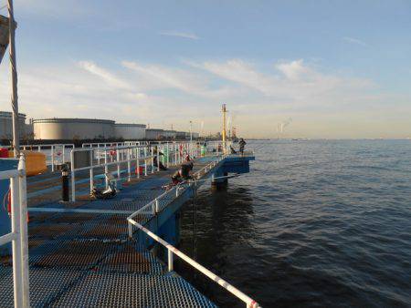 オリジナルメーカー海づり公園(市原市海づり施設) 釣果