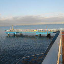 オリジナルメーカー海づり公園(市原市海づり施設) 釣果