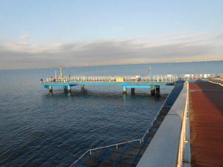 オリジナルメーカー海づり公園(市原市海づり施設) 釣果