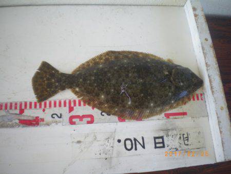 姫路市立遊魚センター 釣果