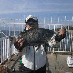 大阪南港海つり公園 釣果
