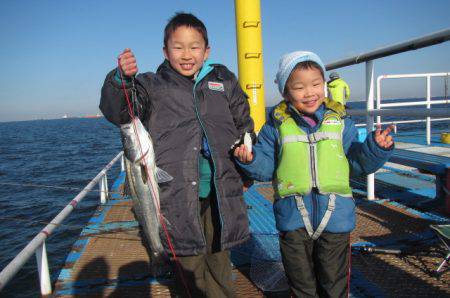 オリジナルメーカー海づり公園(市原市海づり施設) 釣果