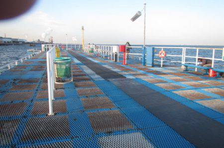 オリジナルメーカー海づり公園(市原市海づり施設) 釣果