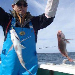 第二むつ漁丸 釣果