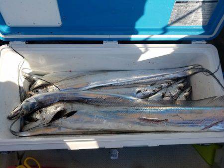 遊漁船　ニライカナイ 釣果