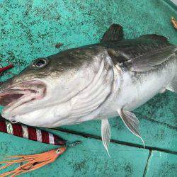 広進丸 釣果