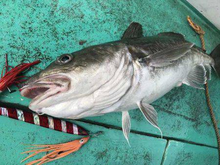 広進丸 釣果