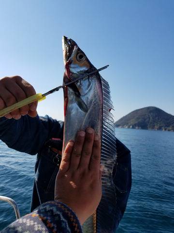 遊漁船　ニライカナイ 釣果