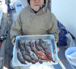 石川丸 釣果