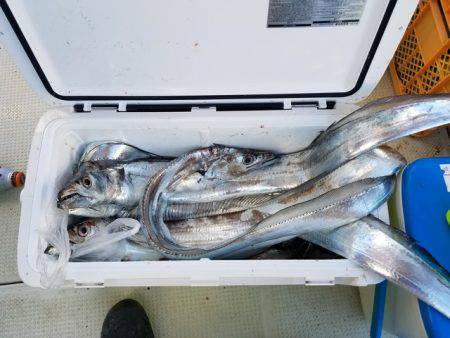 遊漁船　ニライカナイ 釣果