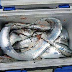 遊漁船　ニライカナイ 釣果