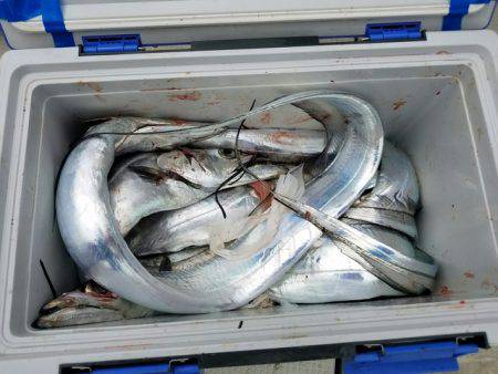 遊漁船　ニライカナイ 釣果