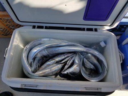 遊漁船　ニライカナイ 釣果