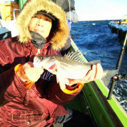 深川 吉野屋 釣果