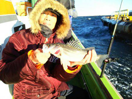 深川 吉野屋 釣果
