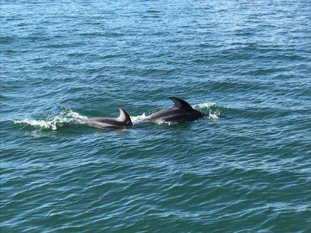 深川　吉野屋 釣果