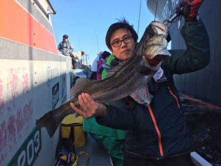 深川 吉野屋 釣果