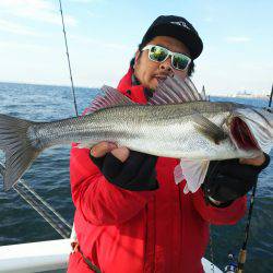 深川 吉野屋 釣果